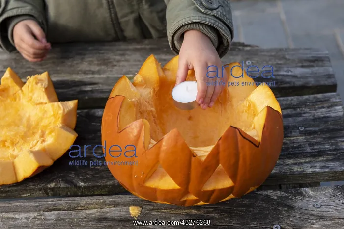 : Little girls making a Halloween pumpkin : Little girls making a Halloween pumpkin