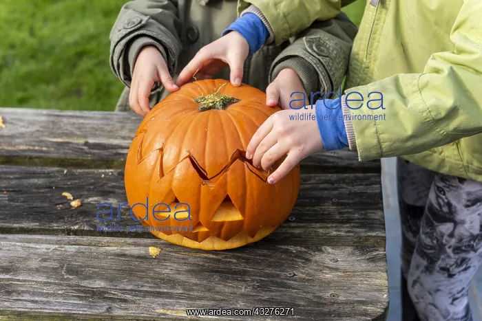 : Little girls making a Halloween pumpkin : Little girls making a Halloween pumpkin