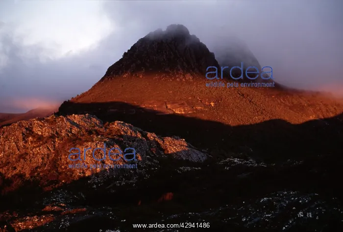: Little Horn, Cradle Mountain, at sunrise; Cradle : Little Horn, Cradle Mountain, at sunrise; Cradle