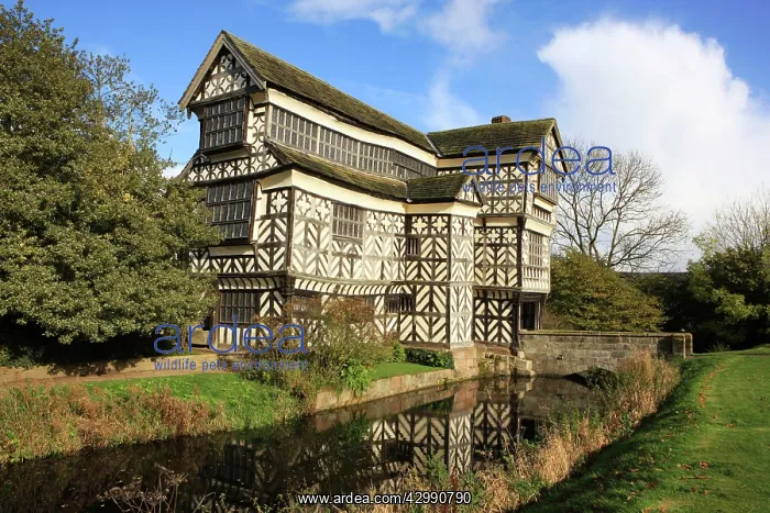 : Little Moreton Hall with its moat - A tudor timber-framed ma : Little Moreton Hall with its moat - A tudor timber-framed ma