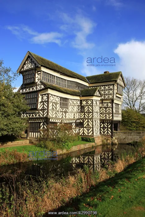 : Little Moreton Hall with its moat - A tudor timber-framed ma : Little Moreton Hall with its moat - A tudor timber-framed ma