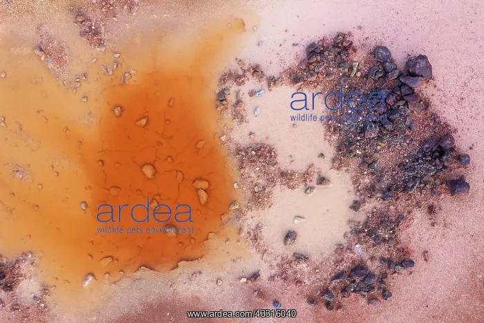 : Little pool and extremely mineral-rich ground in : Little pool and extremely mineral-rich ground in