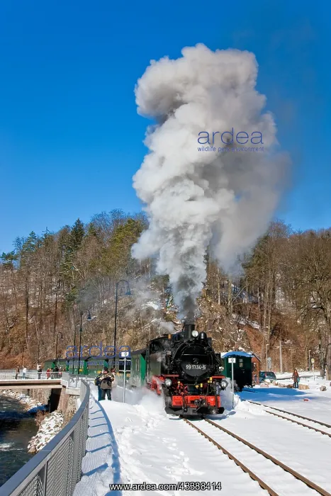 : Little railway in the Rabenauer Grund : Little railway in the Rabenauer Grund