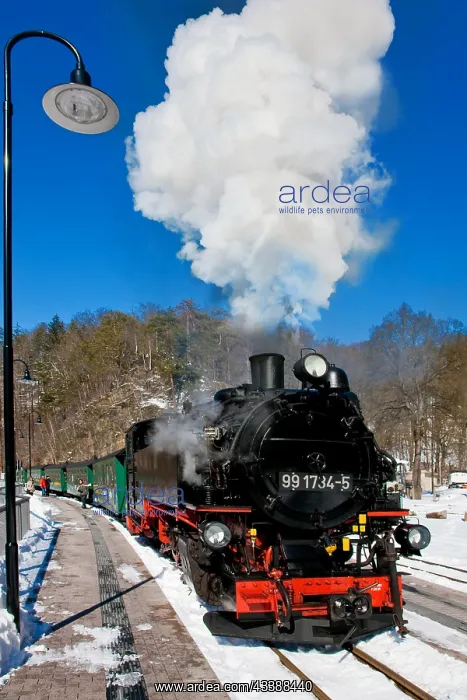 : Little railway in the Rabenauer Grund : Little railway in the Rabenauer Grund