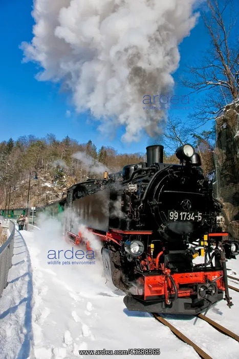 : Little railway in the Rabenauer Grund : Little railway in the Rabenauer Grund