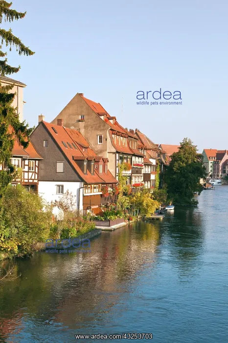 : Little Venice (Klein Venedig) and River : Little Venice (Klein Venedig) and River