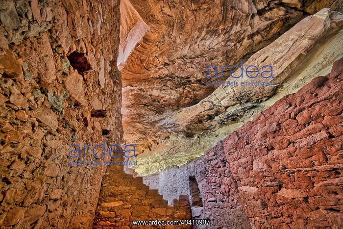 : Little Westwater Ruin, Canyonlands National Park, Utah : Little Westwater Ruin, Canyonlands National Park, Utah