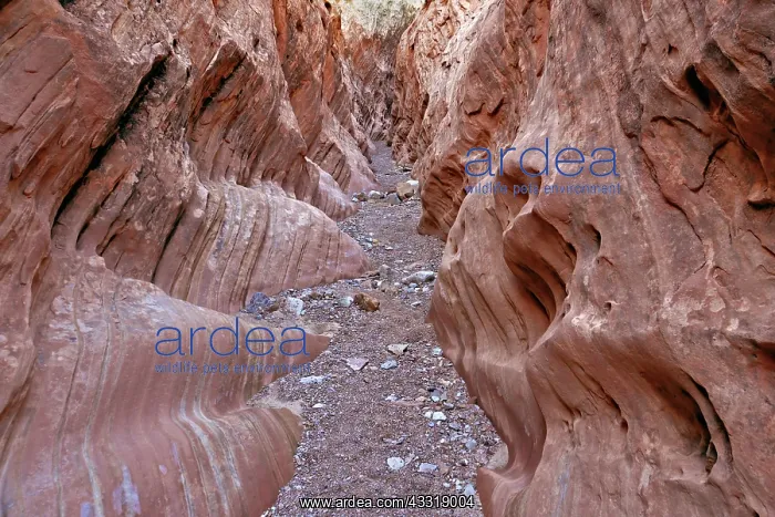 : Little Wild Horse Canyon : Little Wild Horse Canyon
