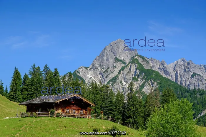 : Litzlalm, in the back M&, x28b33d35;rzh&, x1b2ba5;r : Litzlalm, in the back M&, x28b33d35;rzh&, x1b2ba5;r