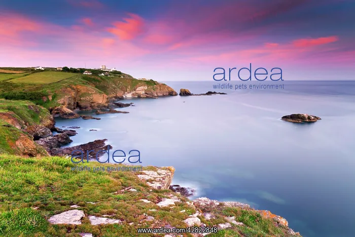 : Lizard Point - at sunset : Lizard Point - at sunset