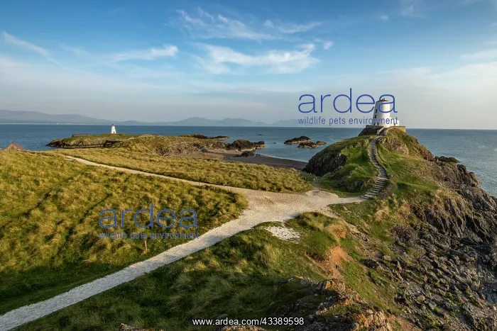 : Llanddwyn Island - Anglesey - UK : Llanddwyn Island - Anglesey - UK