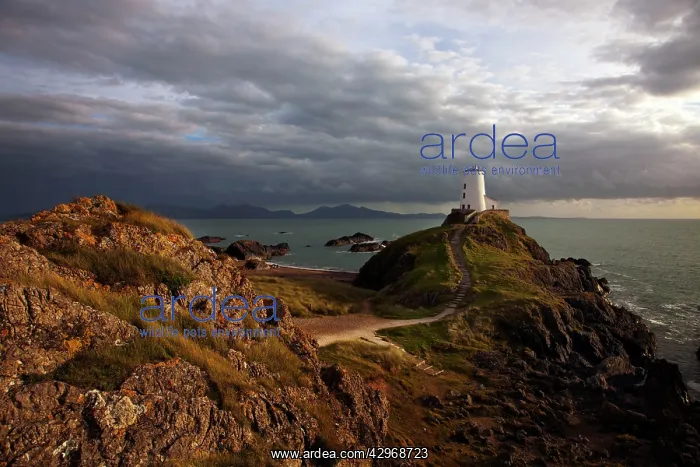 : Llanddwyn lighthouse on Anglesey in late evening : Llanddwyn lighthouse on Anglesey in late evening