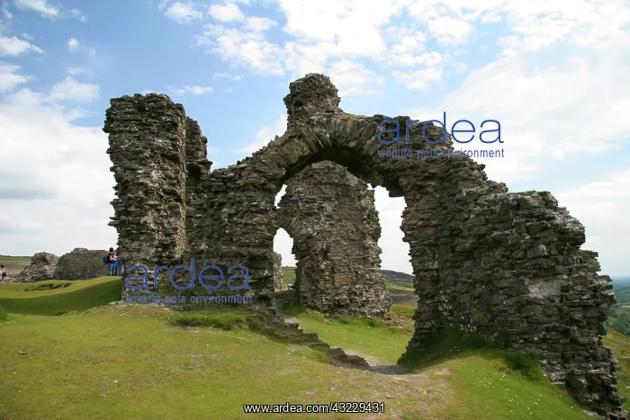 : llangollen, Wales. These spectacular ruins : llangollen, Wales. These spectacular ruins