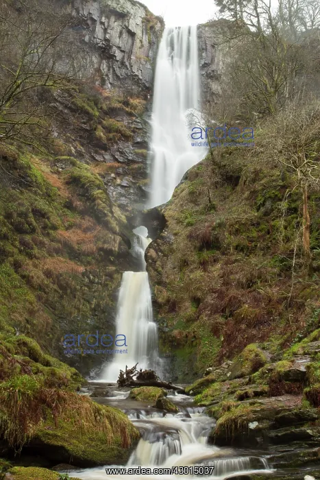  : Llanrhaeadr Waterfall Winter