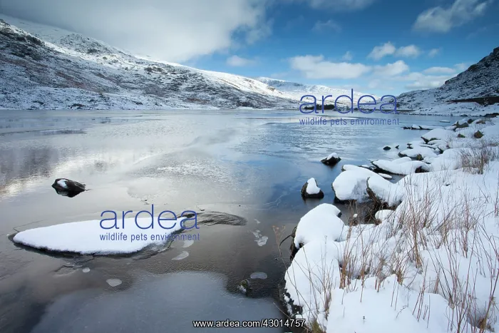 : Llyn Ogwen frozen with snow covered hills in winter : Llyn Ogwen frozen with snow covered hills in winter