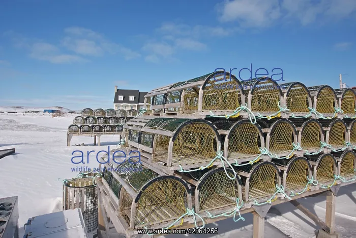 : Lobster and Crab traps stored for the winter : Lobster and Crab traps stored for the winter