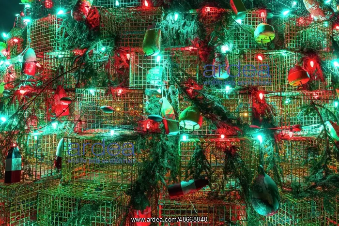 : Lobster trap Christmas tree, Musquodoboit Harbour, Nova : Lobster trap Christmas tree, Musquodoboit Harbour, Nova