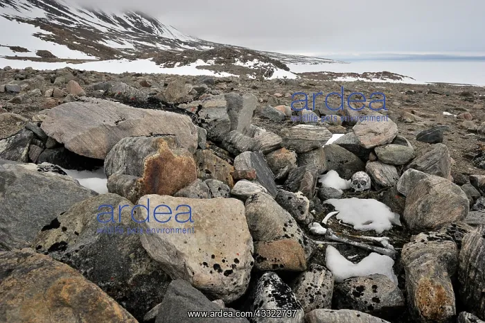 : Local ancient graves on Bylot Island : Local ancient graves on Bylot Island