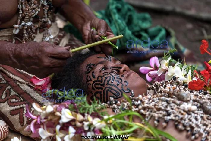 : Local artist tattooing face of young girl : Local artist tattooing face of young girl