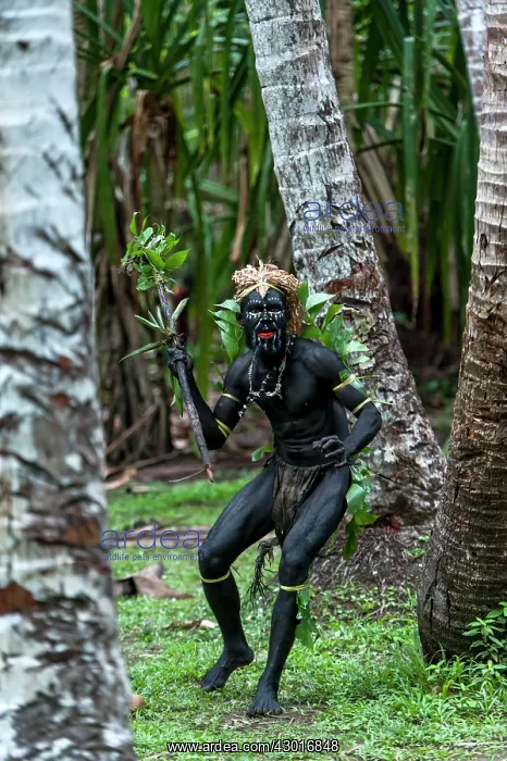 : Local Dancer man painted with black paint performing : Local Dancer man painted with black paint performing