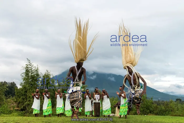 : Local Dancers performing a traditional dance with : Local Dancers performing a traditional dance with