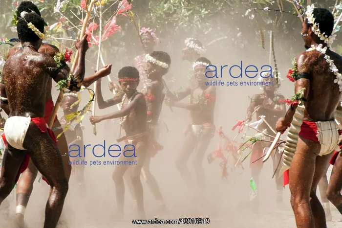 : Local Dancers performing a traditional dance : Local Dancers performing a traditional dance