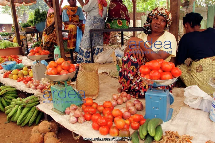 : Local Market : Local Market