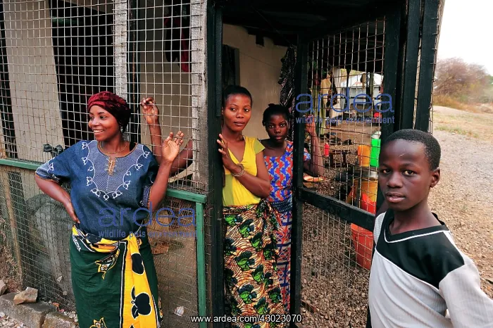 : Local Women in front of a house behind cage protection : Local Women in front of a house behind cage protection