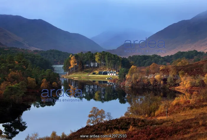 : Loch Affric in autumn on a calm morning - October : Loch Affric in autumn on a calm morning - October