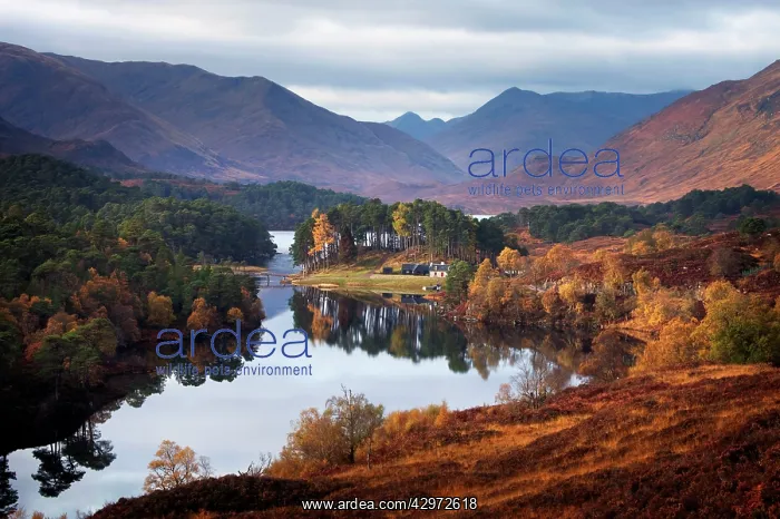 : Loch Affric in autumn on a calm morning - October : Loch Affric in autumn on a calm morning - October