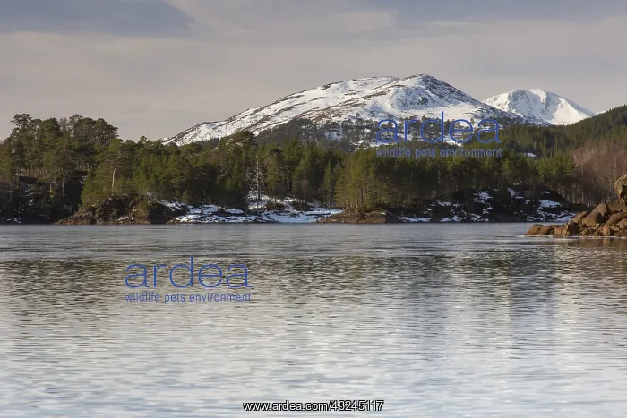 : Loch Beinn a&, x2018; Mheadhoin - Highlands - : Loch Beinn a&, x2018; Mheadhoin - Highlands -
