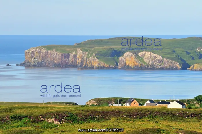 : Loch Bracadale, Ross, Skye and Lochaber, Isle of : Loch Bracadale, Ross, Skye and Lochaber, Isle of