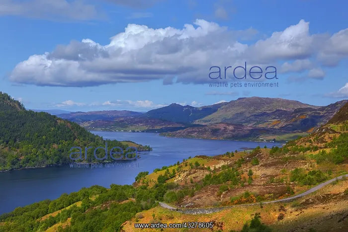 : Loch Duich - view from a hill near Keppoch onto : Loch Duich - view from a hill near Keppoch onto