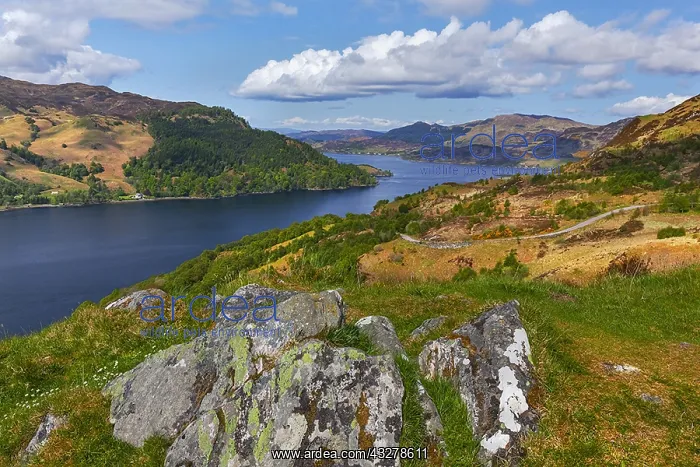 : Loch Duich - view from a hill near Keppoch onto : Loch Duich - view from a hill near Keppoch onto