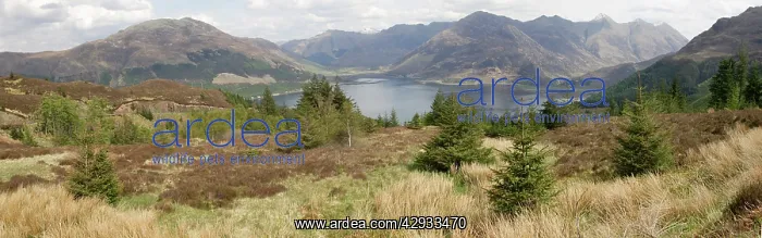 : Loch Duich viewed from Bealach Ratagain, Scotland : Loch Duich viewed from Bealach Ratagain, Scotland