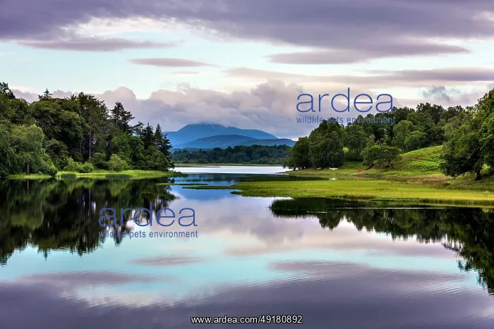  : Loch Insh - River Spey - Scotland - UK