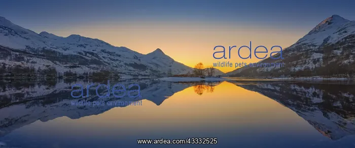 : Loch Leven, Lochaber, Highland, Scotland, United : Loch Leven, Lochaber, Highland, Scotland, United