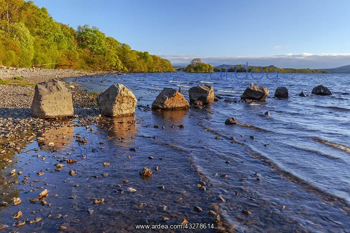 : Loch Lomond - beach with forest covered shore line : Loch Lomond - beach with forest covered shore line