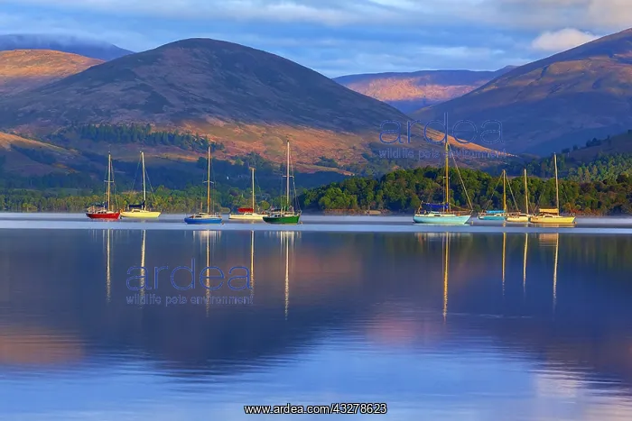 : Loch Lomond - colourful sailing boats and mountains : Loch Lomond - colourful sailing boats and mountains