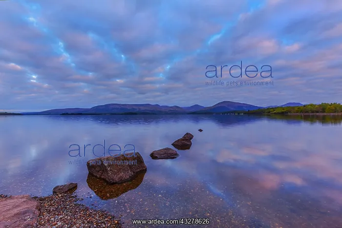 : Loch Lomond - pink coloured clouds and mountains : Loch Lomond - pink coloured clouds and mountains
