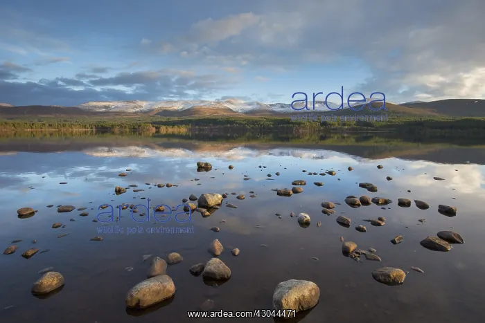 : Loch Morlich and Cairngorm Mountains - Cairngorms : Loch Morlich and Cairngorm Mountains - Cairngorms