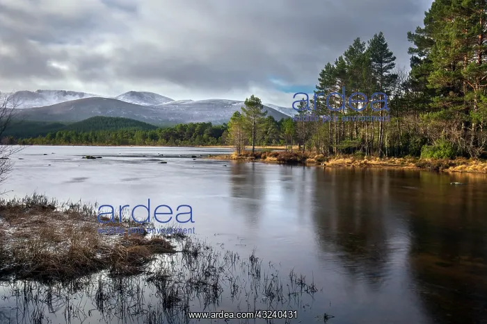  : Loch Morlich - Cairngorms - Scotland - UK