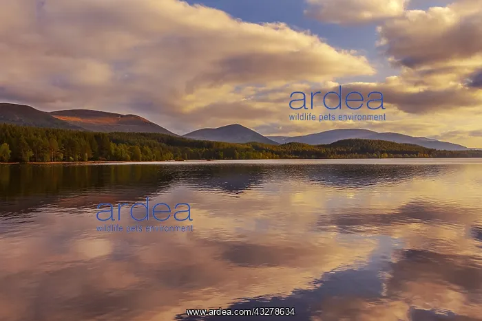 : Loch Morlich - clouds and mountain range of the : Loch Morlich - clouds and mountain range of the
