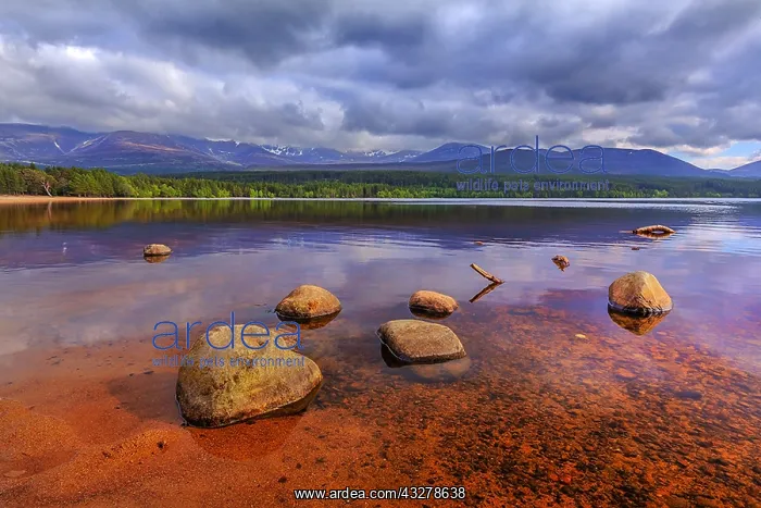: Loch Morlich - mountain range of the Cairngorms : Loch Morlich - mountain range of the Cairngorms