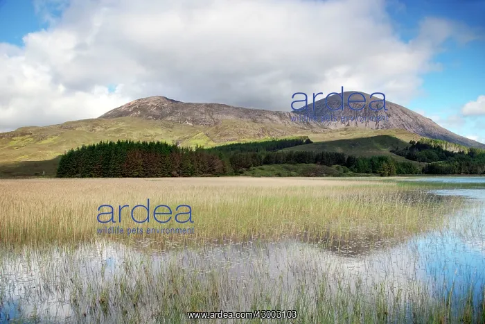 : Loch nan Dubrachan : Loch nan Dubrachan