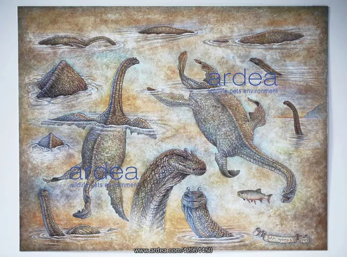 : Loch Ness Monster : Loch Ness Monster