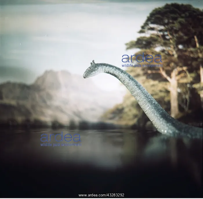 : LOCH NESS MONSTER - model : LOCH NESS MONSTER - model