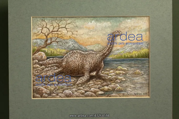 : Loch Ness Monster. On shore : Loch Ness Monster. On shore