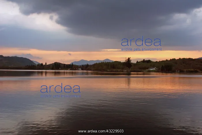 : Loch Ness, Scotland. Another peaceful sunset : Loch Ness, Scotland. Another peaceful sunset