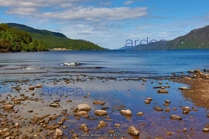  : Loch Ness in the Scottish Highlands from Fort